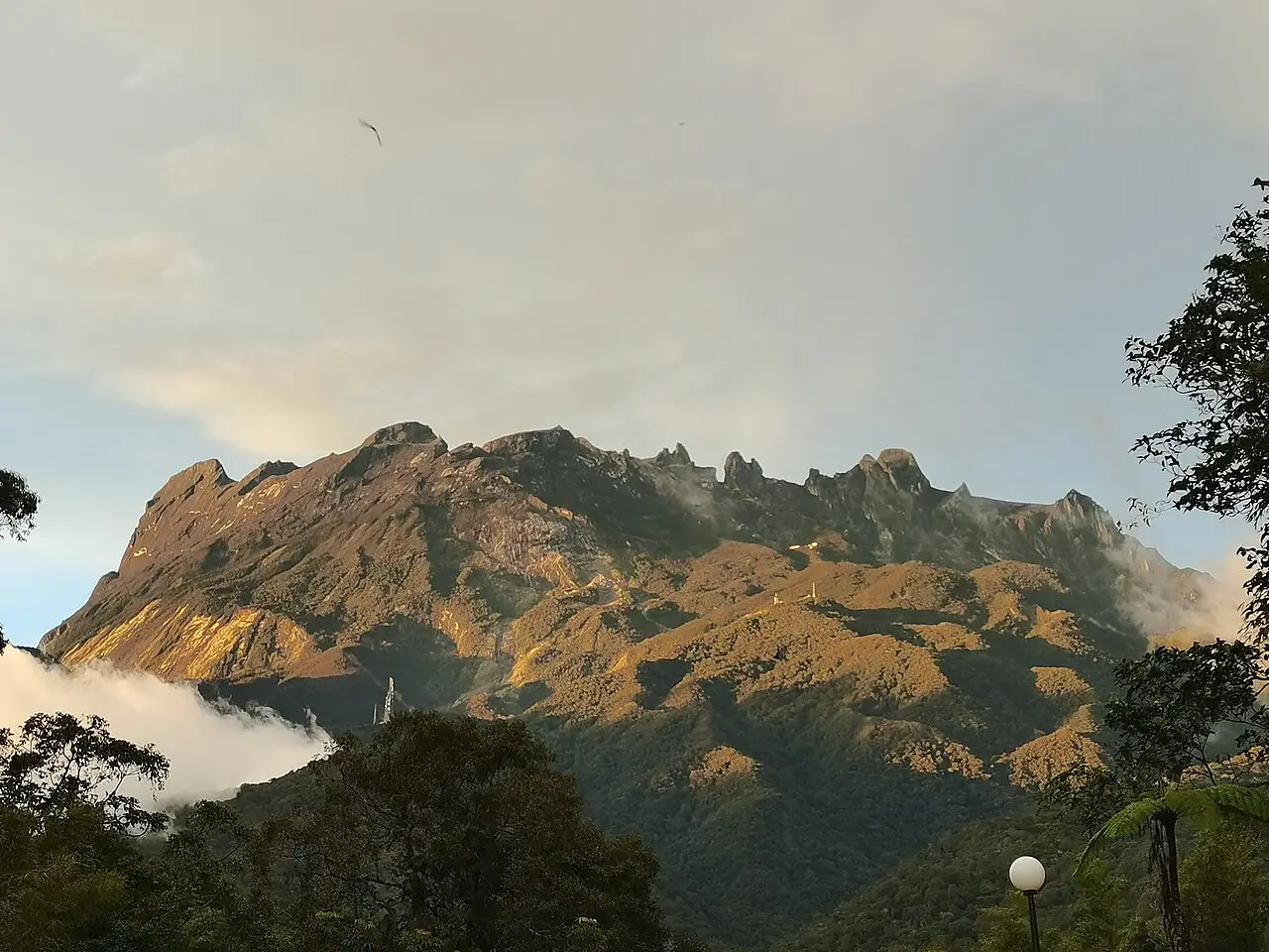 Morning light illuminates the rugged peaks of Mount Kinabalu, surrounded by clouds and lush forest in Kinabalu Park, Malaysia